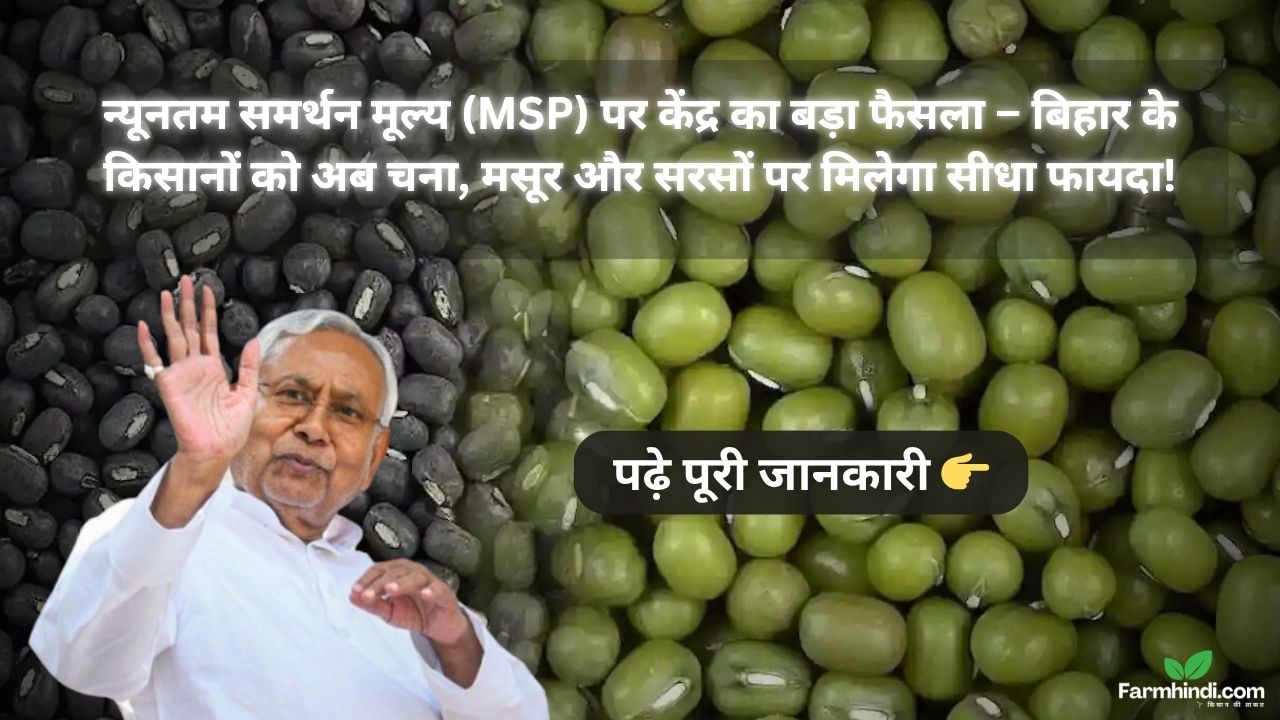 न्यूनतम समर्थन मूल्य