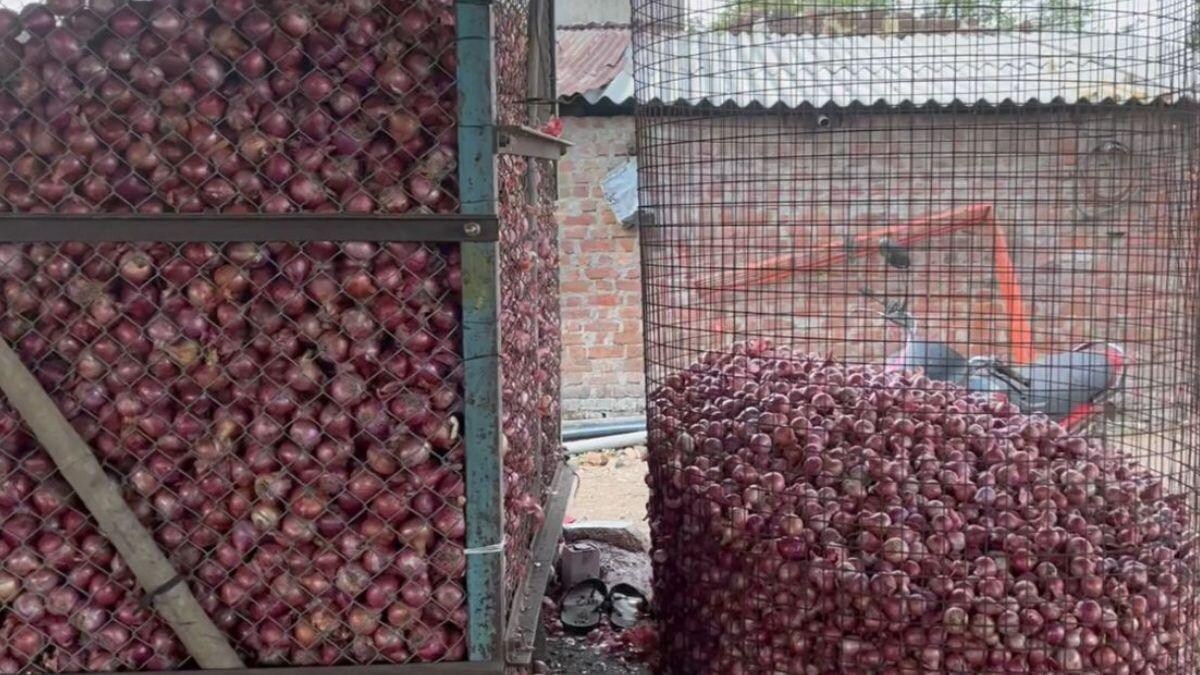 प्याज को लंबे समय तक कैसे स्टोर करें?