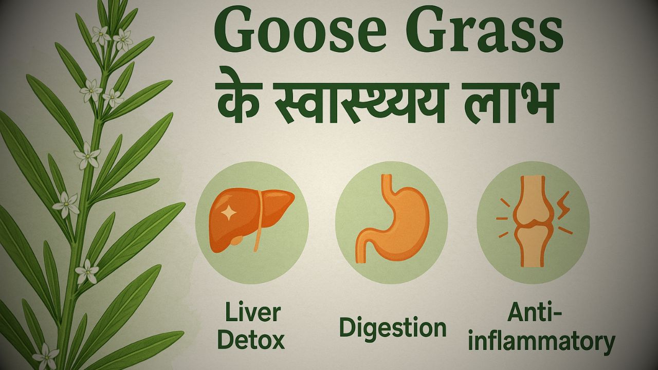 Goose Grass