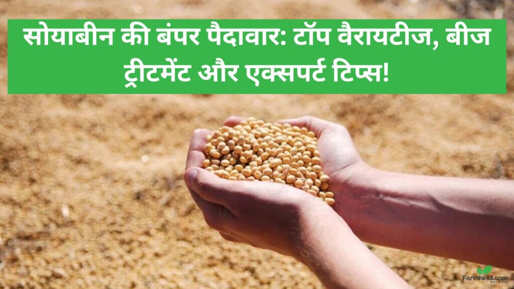 सोयाबीन बीज