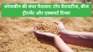 सोयाबीन बीज