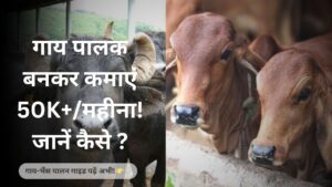डेयरी फार्मिंग