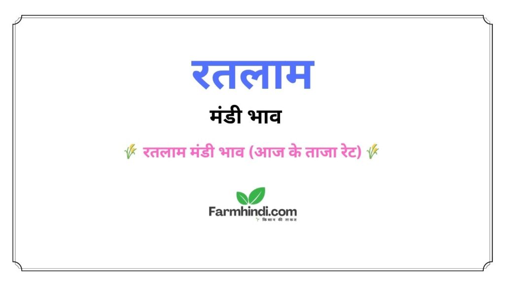 आज के रतलाम मंडी भाव | Ratlam Mandi Bhav Today