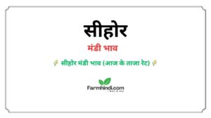 आज के सीहोर मंडी भाव | Sehore Mandi Bhav Today