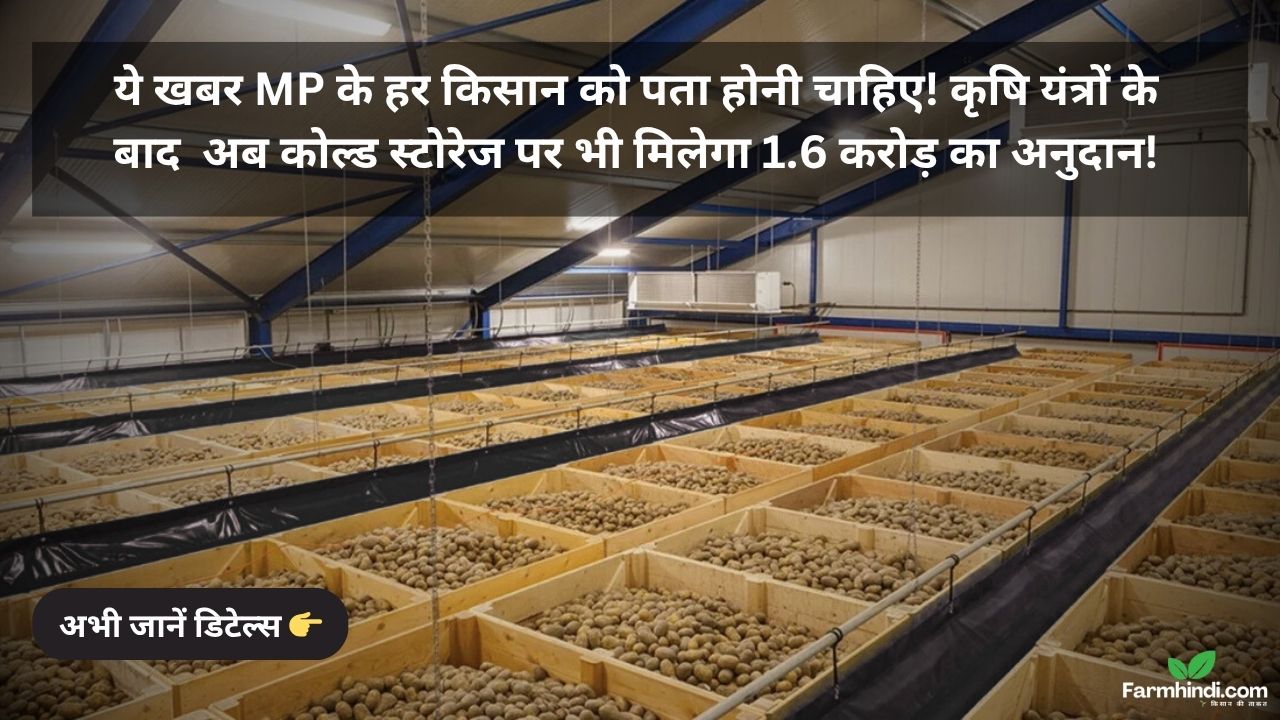 MP MIDH Scheme 2025