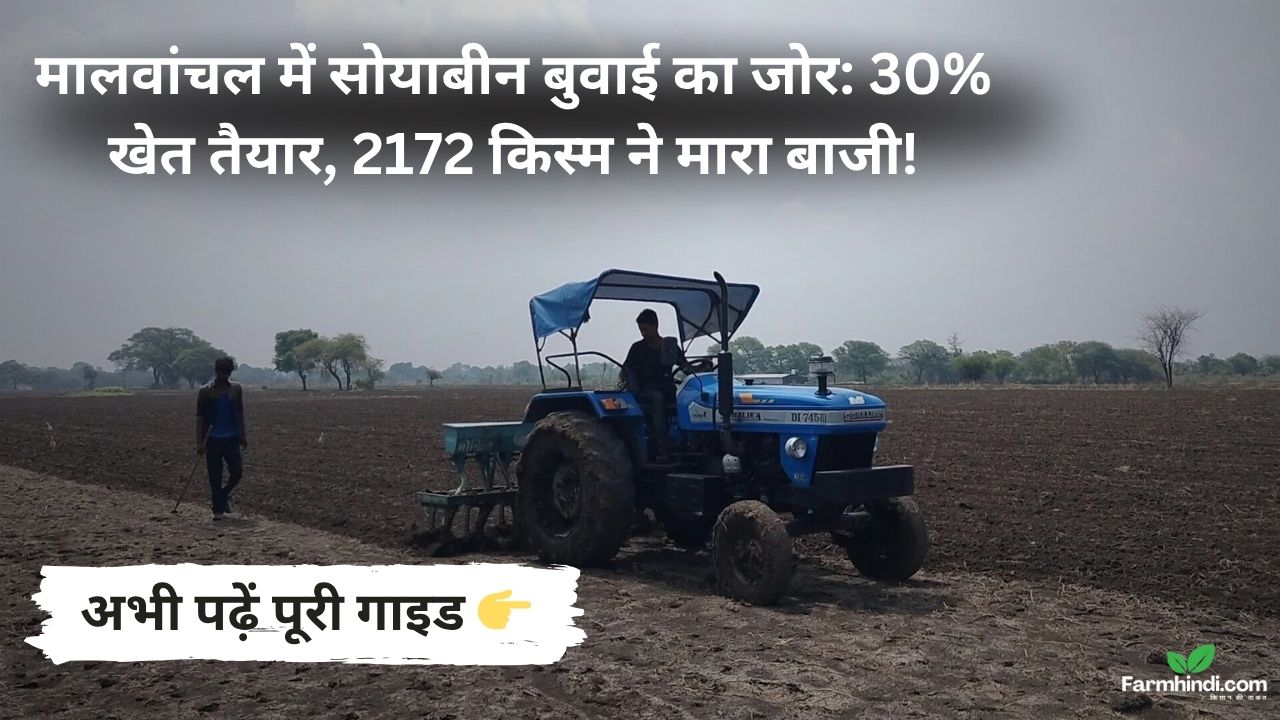 मालवांचल में सोयाबीन की बुवाई