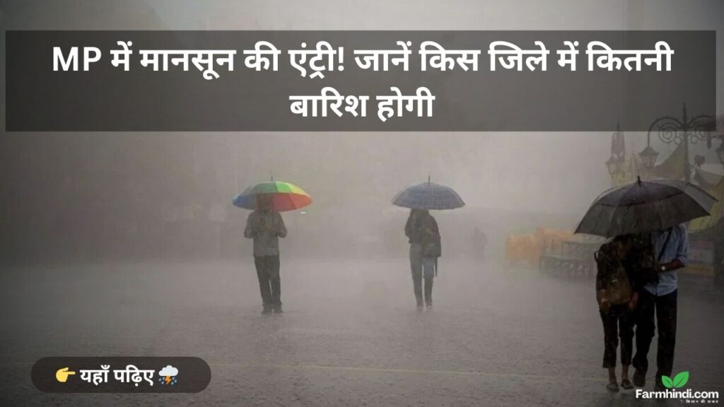 MP में मानसून