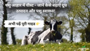 पशु आहार में यीस्ट