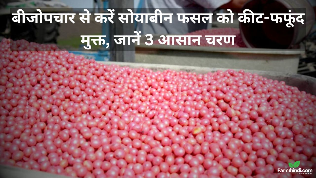 सोयाबीन का बीजोपचार