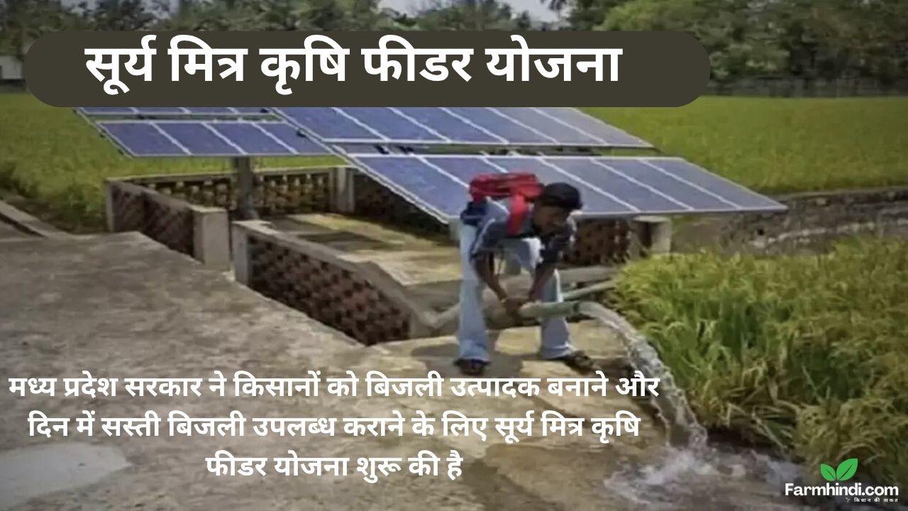सूर्य मित्र कृषि फीडर योजना