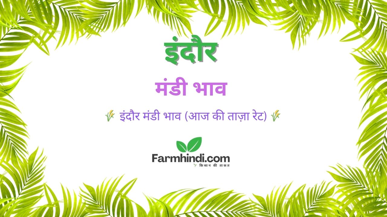 इंदौर मंडी भाव आज