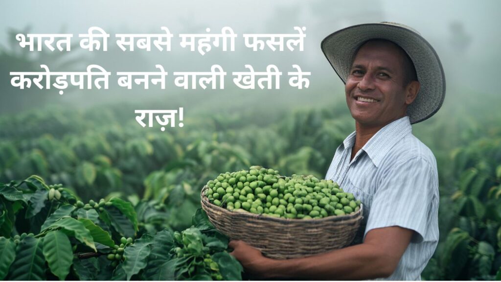 भारत की सबसे महंगी फसलें 🌾💰 करोड़पति बनने वाली खेती के राज़!