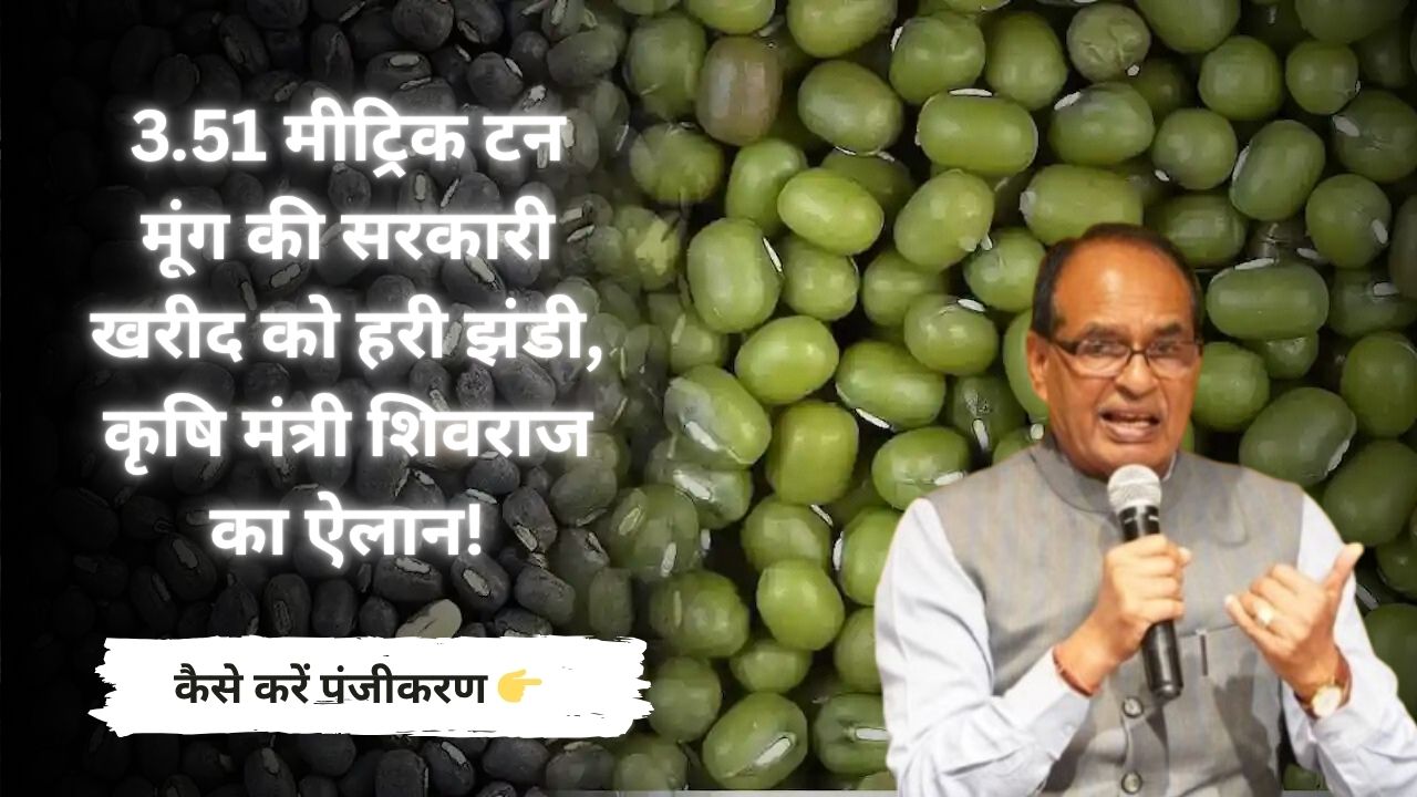 मूंग का MSP 2025