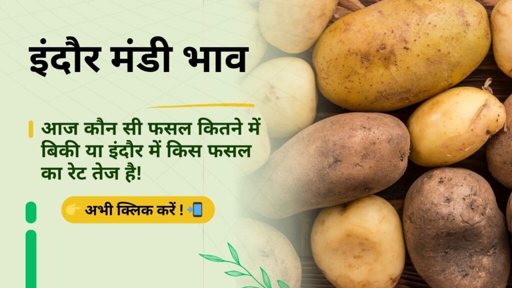 Indore_Mandi_Bhav
