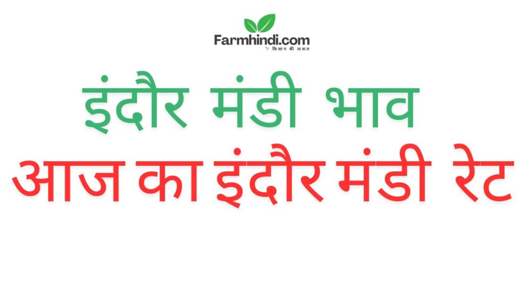 Indore_Mandi_Bhav