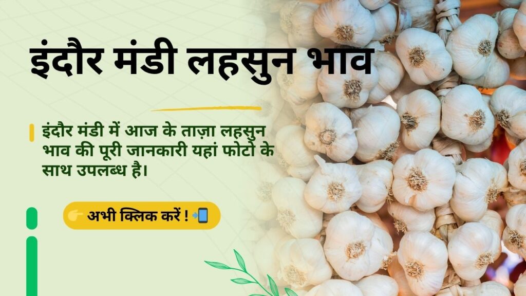 Indore_Mandi_Lahsun_Bhav