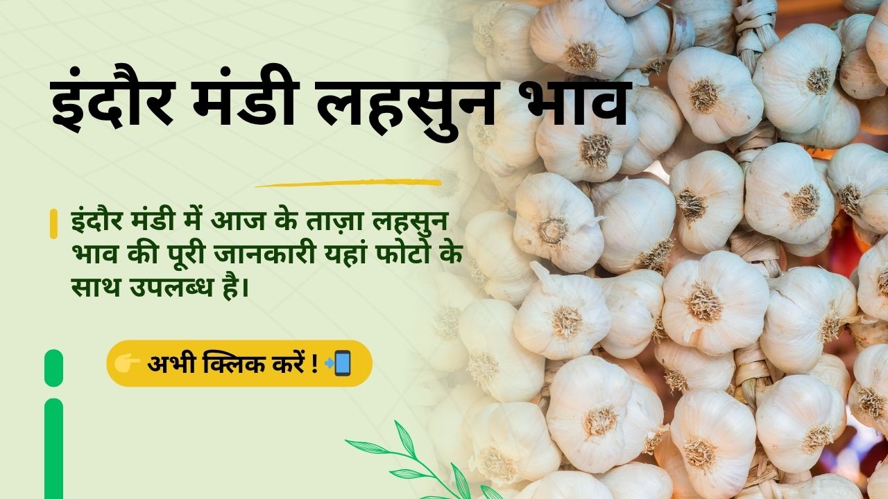 Indore_Mandi_Lahsun_Bhav