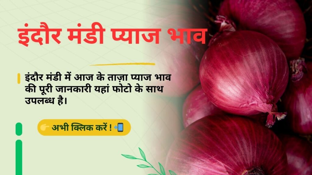 Indore_Mandi_Pyaj