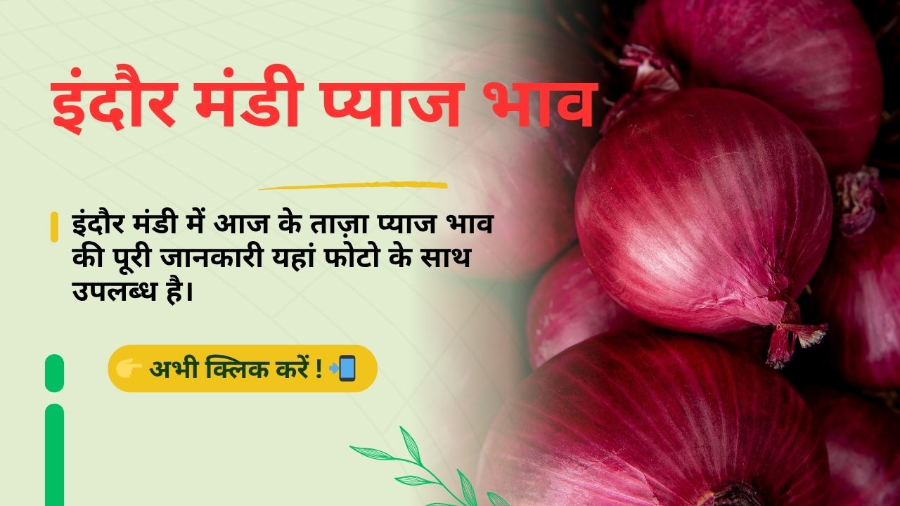 Indore_Mandi_Pyaj