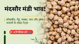 Mandsaur_Mandi_Bhav_Daily