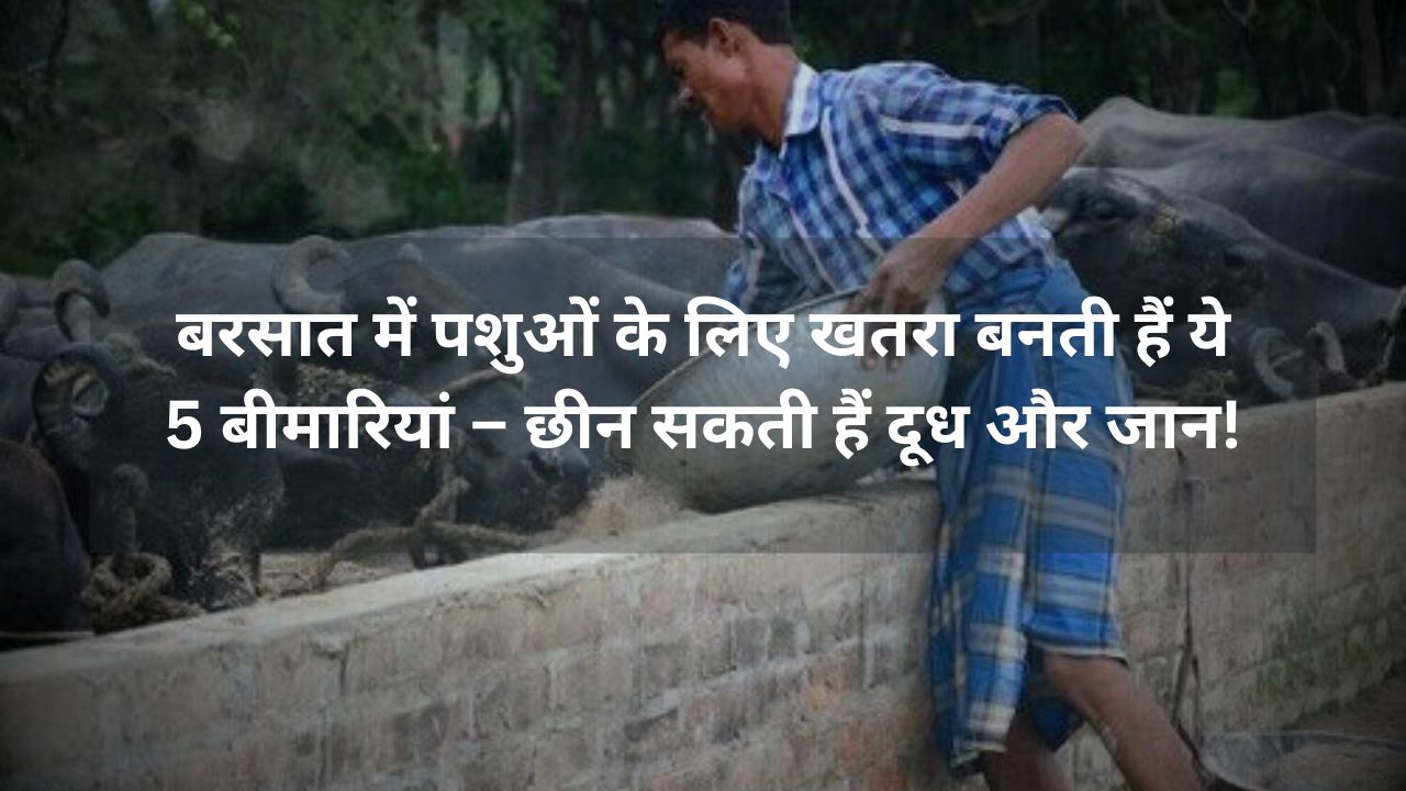 Pashu Bimari