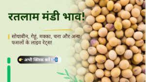 Ratlam_Mandi_Bhav_Daily