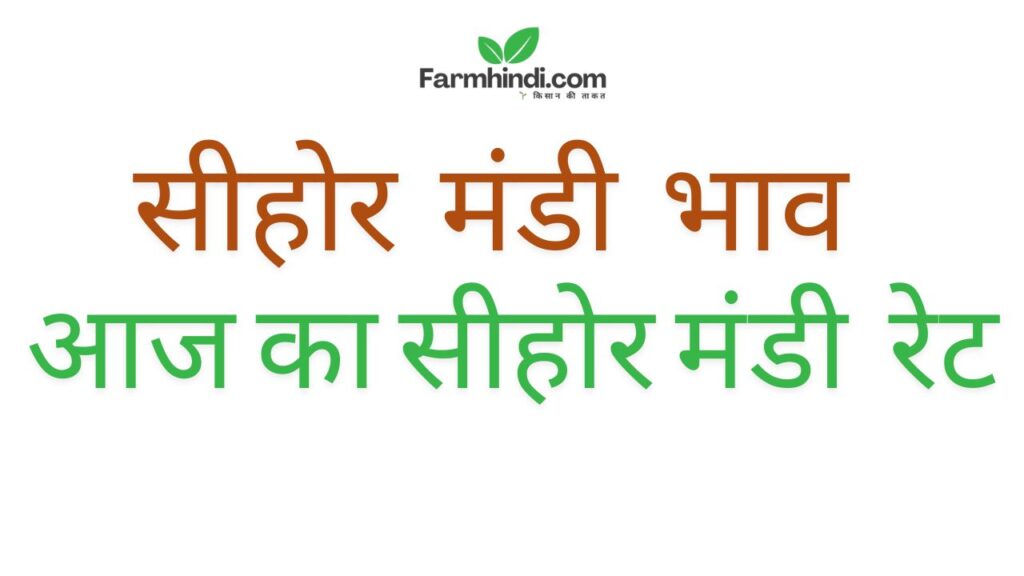 Sehore_Mandi_Bhav