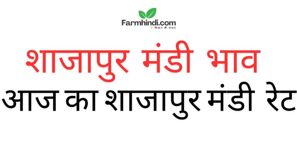 Shajapur_Mandi_Bhav