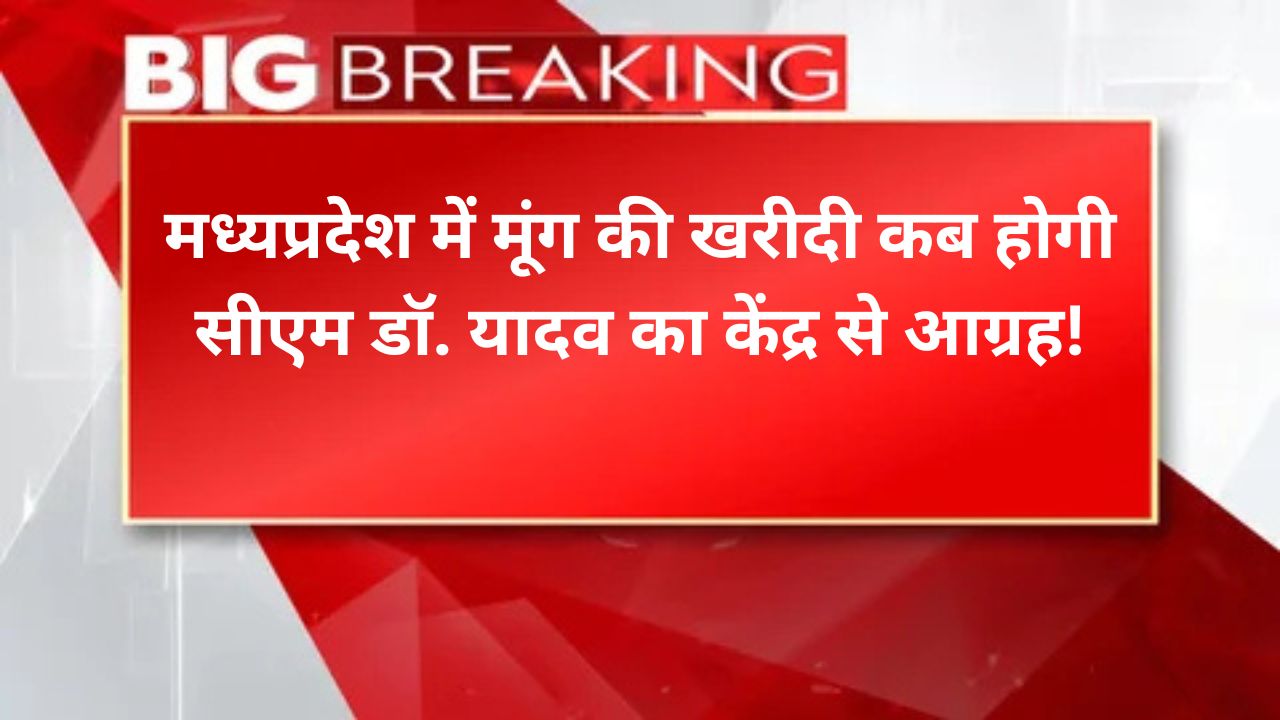 मध्यप्रदेश में मूंग की खरीदी कब होगी