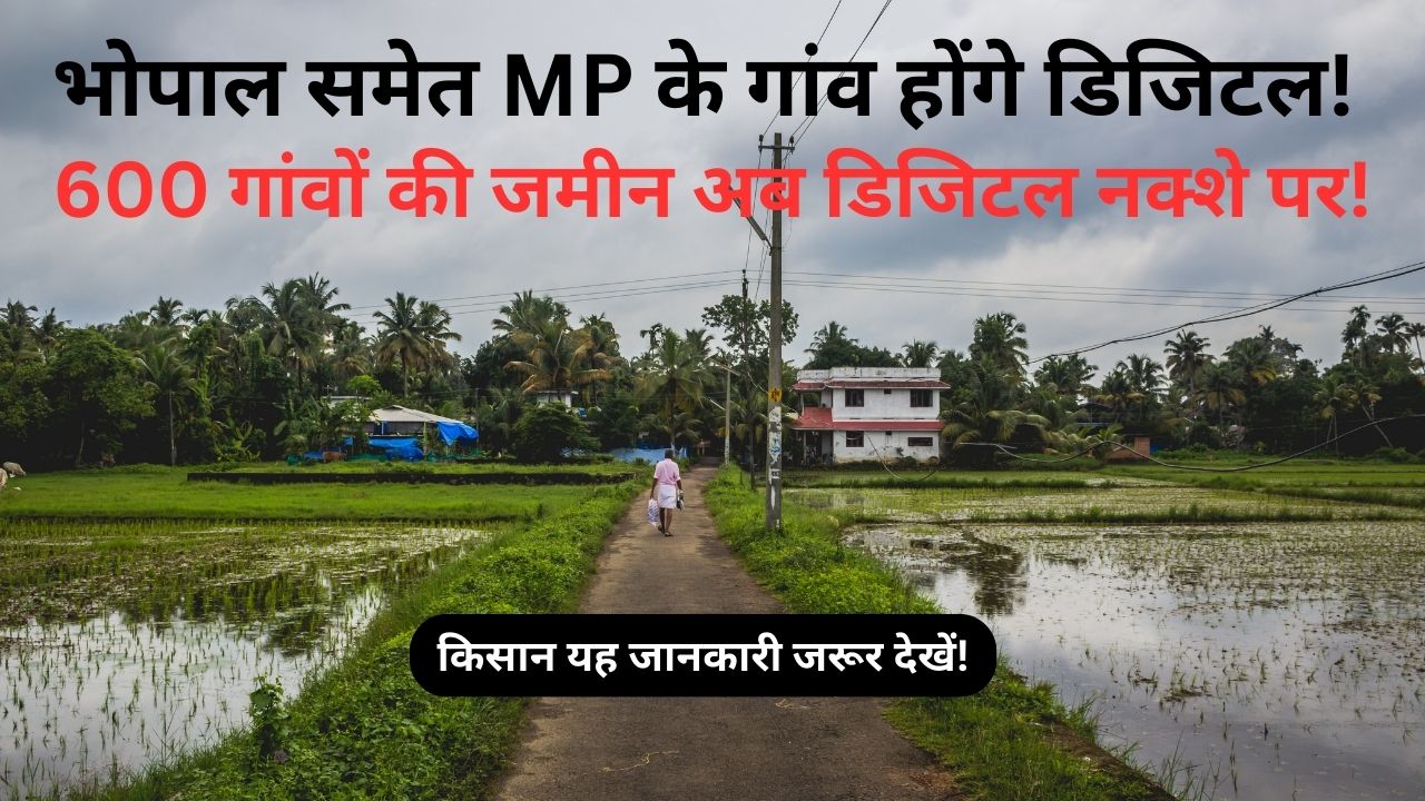 Mp_Digital_Land