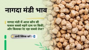 Nagda_Mandi_Bhav_Daily
