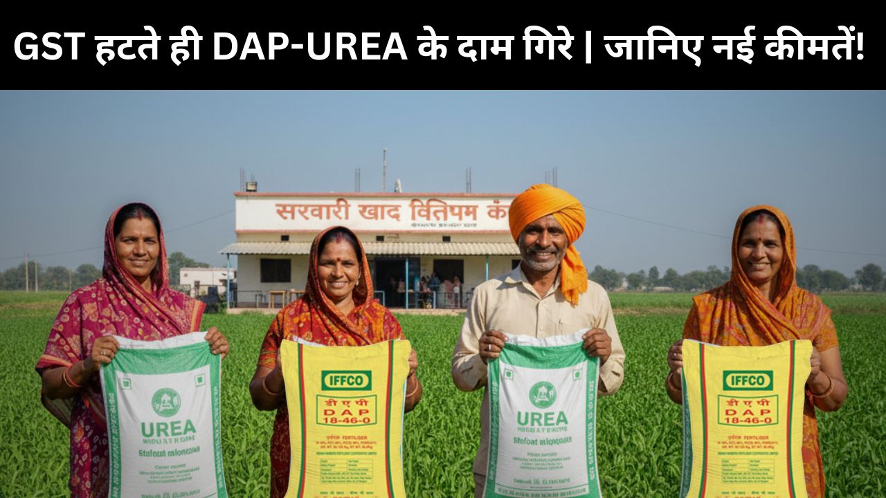 DAP Urea New GST Rate