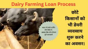 Dairy Farming Loan