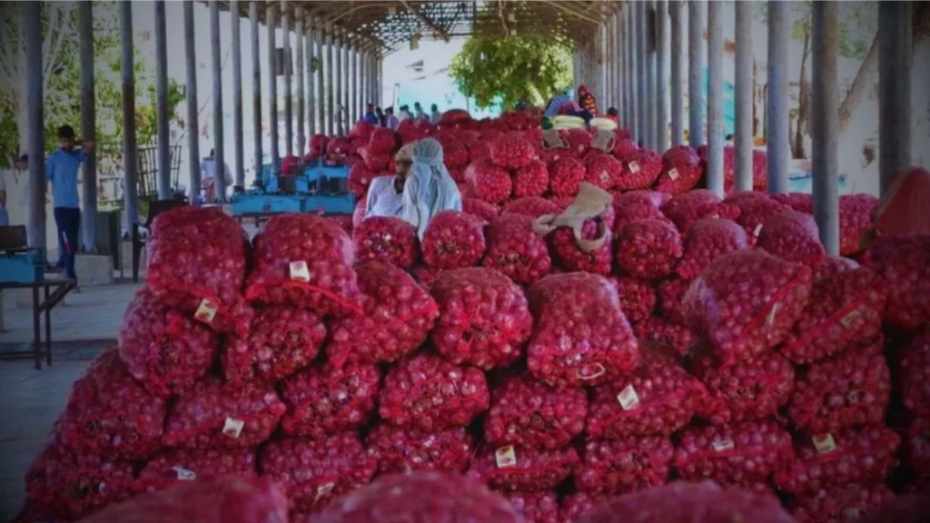 Garlic Onion Rate Today