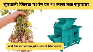 Groundnut Decorticator Machine Subsidy MP