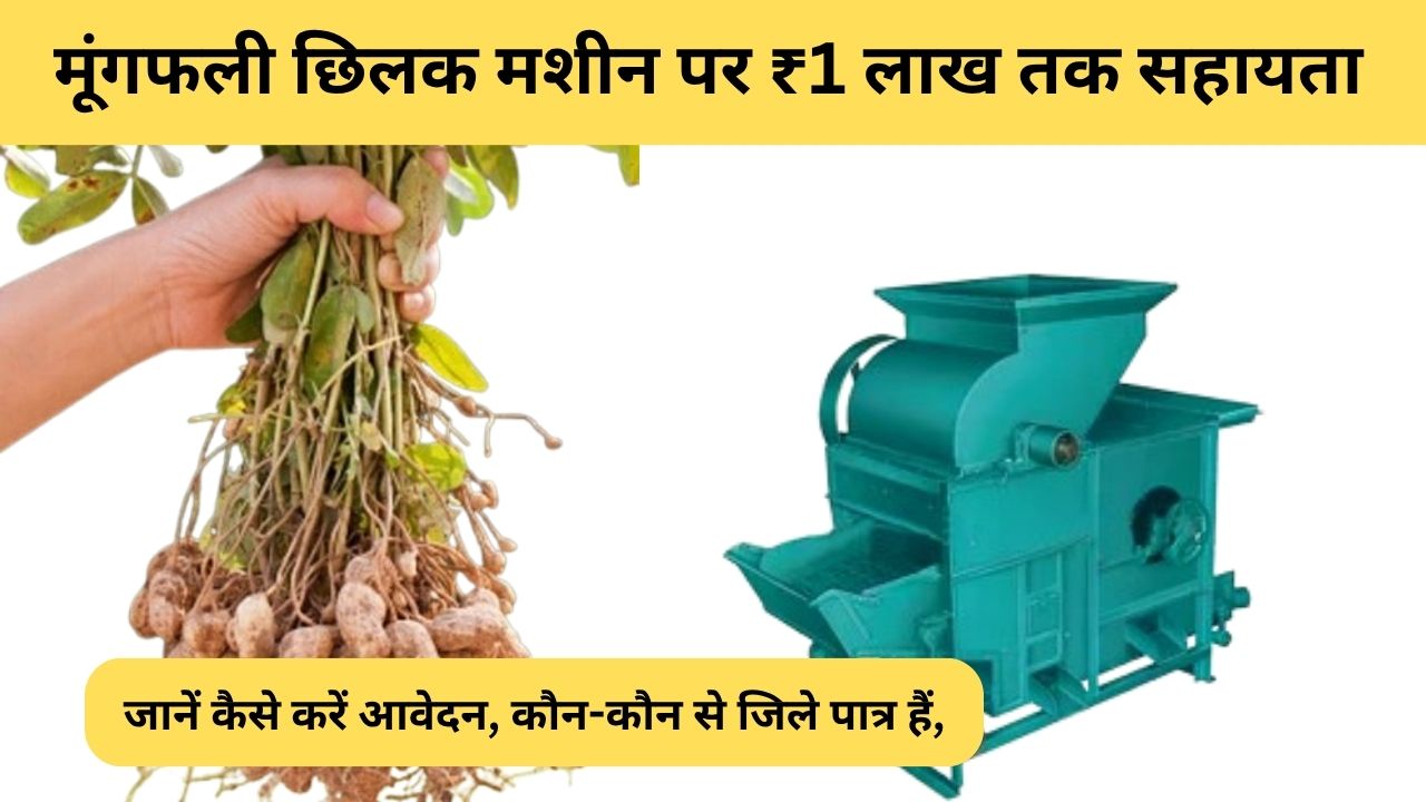 Groundnut Decorticator Machine Subsidy MP